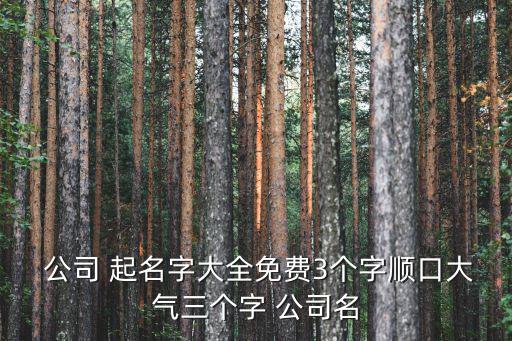 保安公司起名用字大全,公司起名字大全免费3字词典（13）