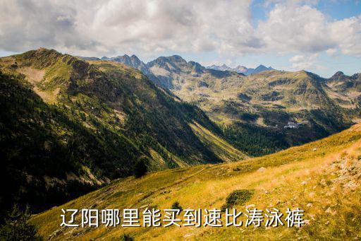 辽阳哪里卖体育用品,第二部在辽阳没见过第三部已过时