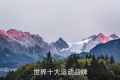 世界著名品牌商标排名,耐克全球十大品牌排名出炉男香水居榜首