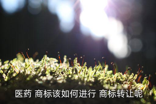 医药商标,两件注册医药food商标转让给另一商家