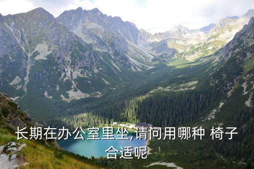 不锈钢椅子靠背椅图片,符合人体工程学椅子缓解肩颈背部压力