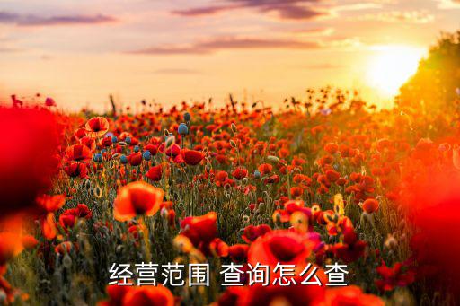 查询体育用品批发怎么查,中国物品编码中心官网如何进行扫描
