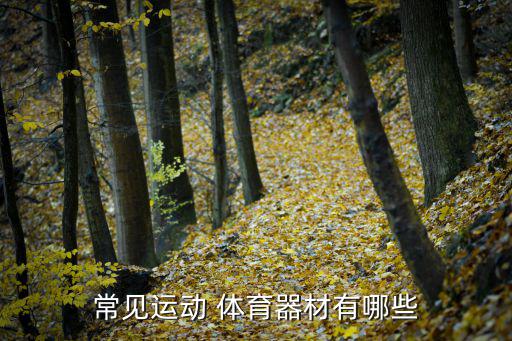 常见运动 体育器材有哪些