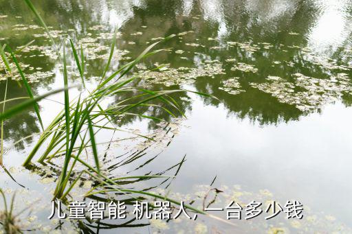 儿童智能 机器人, 一台多少钱