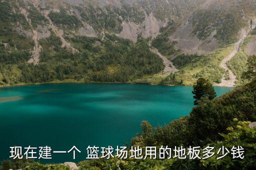 篮球场地胶,私人篮球建设须注意哪些事?