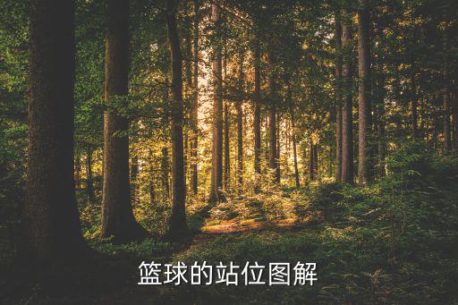 篮球的站位图解