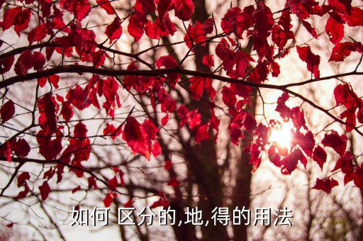 如何 区分的,地,得的用法