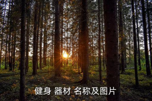 健身 器材 名称及图片
