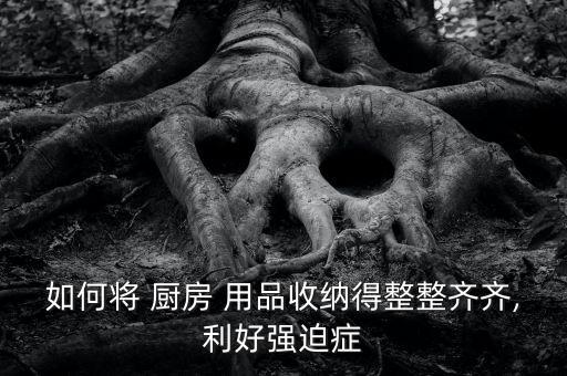 收厨房用品的,厨房小物件放整齐柜子保持干净整洁
