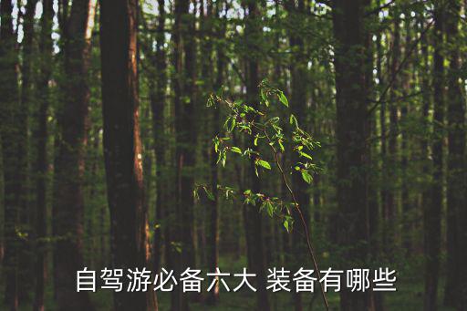 汽车户外自驾游装备,自驾游必备物品清单