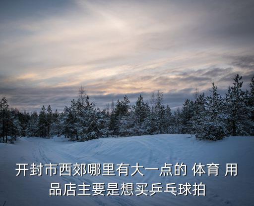 开封市西郊哪里有大一点的 体育 用品店主要是想买乒乓球拍