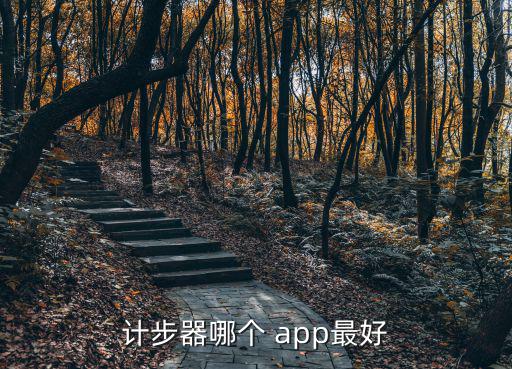 买体育用品用哪个app好,比较好的网购平台推荐:淘宝网购