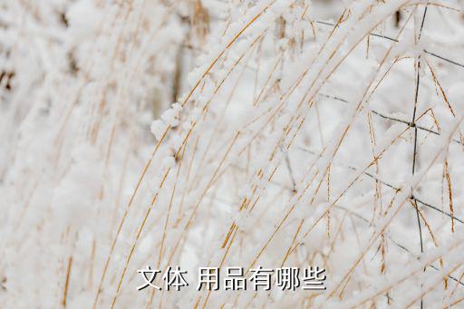 文体 用品有哪些
