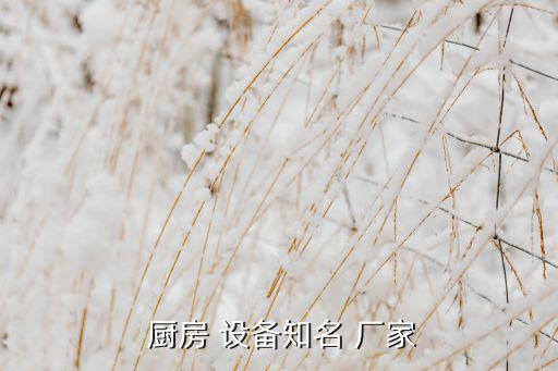  厨房 设备知名 厂家