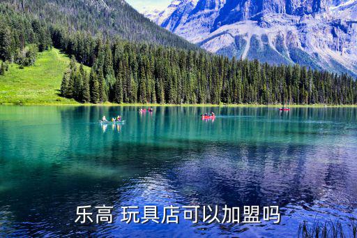 乐高 玩具店可以加盟吗