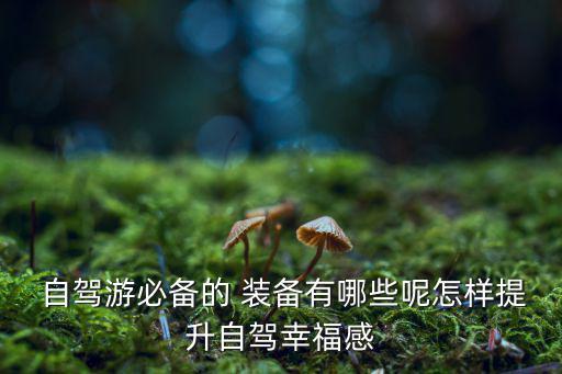  自驾游必备的 装备有哪些呢怎样提升自驾幸福感