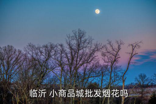  临沂 小商品城批发烟花吗