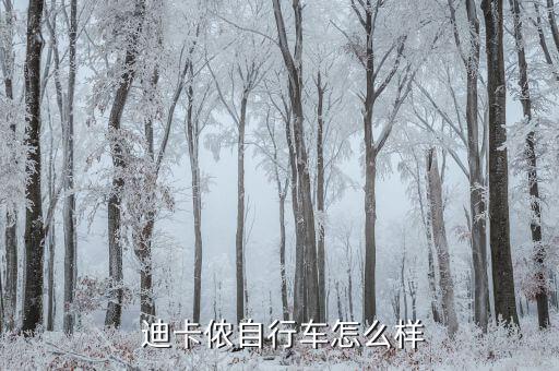  迪卡侬自行车怎么样