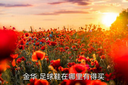 金华 足球鞋在哪里有得买
