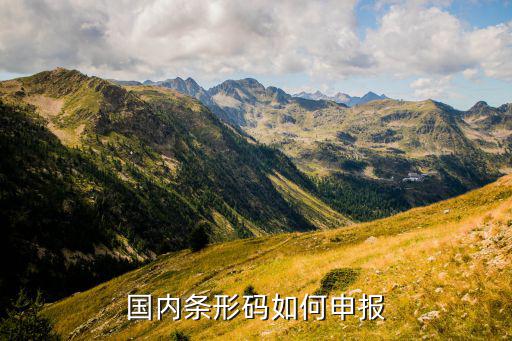 体育用品条码放在什么位置,中国商品条码系统会员资格申请表