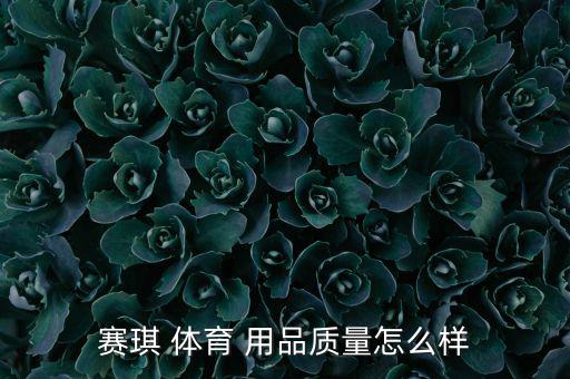 赛琪 体育 用品质量怎么样