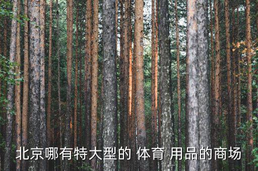 北京哪有特大型的 体育 用品的商场