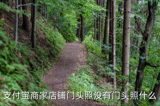 支付宝商家店铺门头照没有门头照什么
