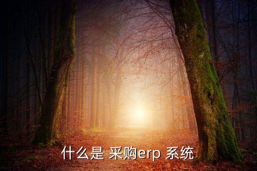 什么是 采购erp 系统