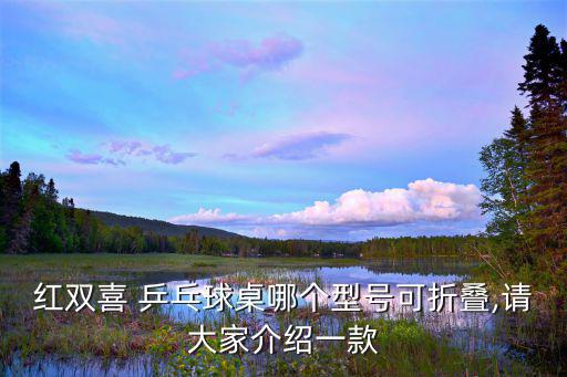 红双喜 乒乓球桌哪个型号可折叠,请大家介绍一款