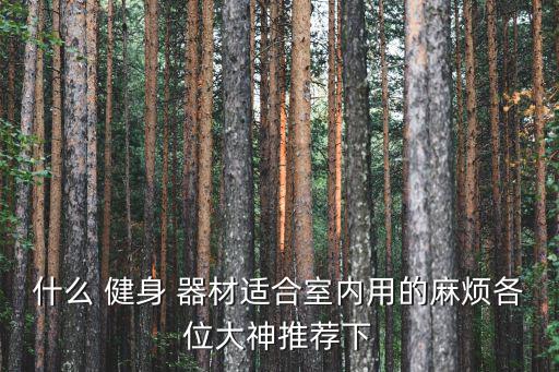 沧州健身器材专卖店(飞力士棒),瑜伽垫瑜伽可以随时随地做