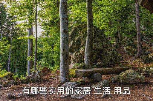 有哪些实用的家居 生活 用品