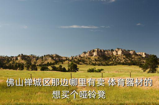 佛山禅城区那边哪里有卖 体育器材的想买个哑铃凳