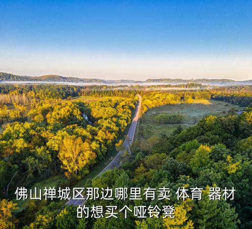 佛山禅城区那边哪里有卖 体育 器材的想买个哑铃凳