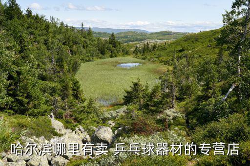 乒乓球专卖,三义坊乒乓球专卖店提供乒乓器材选购服务