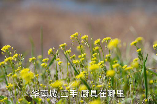华南城 二手 厨具在哪里