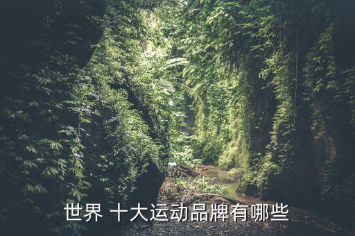世界 十大运动品牌有哪些
