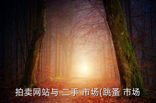 拍卖网站与 二手 市场(跳蚤 市场