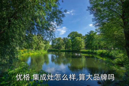  优格 集成灶怎么样,算大品牌吗