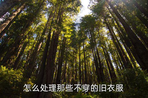 体育用品怎么处理,旧衣服可放回收站公益组织定期处理耐用性好