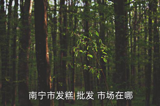  南宁市发糕 批发 市场在哪