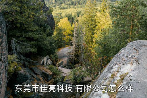  东莞市佳亮科技 有限公司怎么样