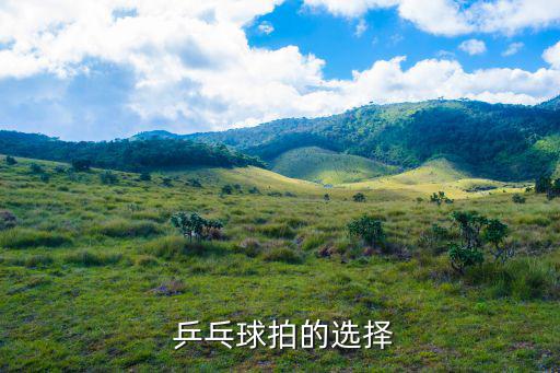 乒乓球价格及种类,乒乓球球拍选购攻略（三）