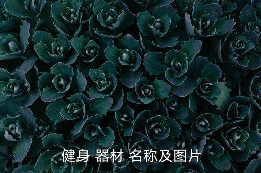  健身 器材 名称及图片