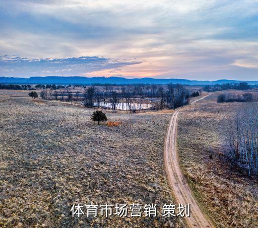  体育市场营销 策划