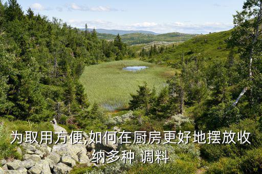 放调料瓶置物架,厨房装修要注意什么?