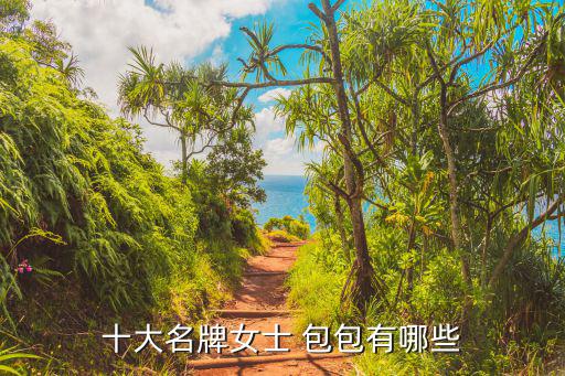 轻奢品牌包包排行榜前十名,包包分类: