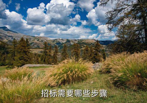  招标需要哪些步骤