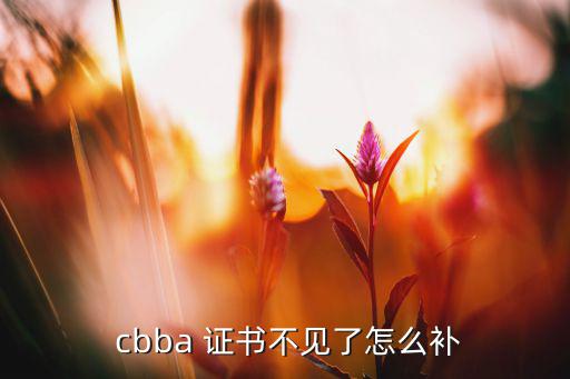 cbba证书查询入口,国家健身教练证书在健身房认可度很高