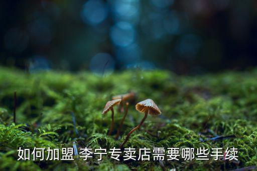 李宁折扣店怎么加盟,开加盟店需要什么资金?