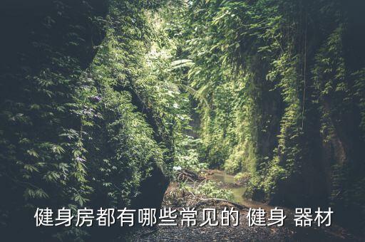  健身房都有哪些常见的 健身 器材